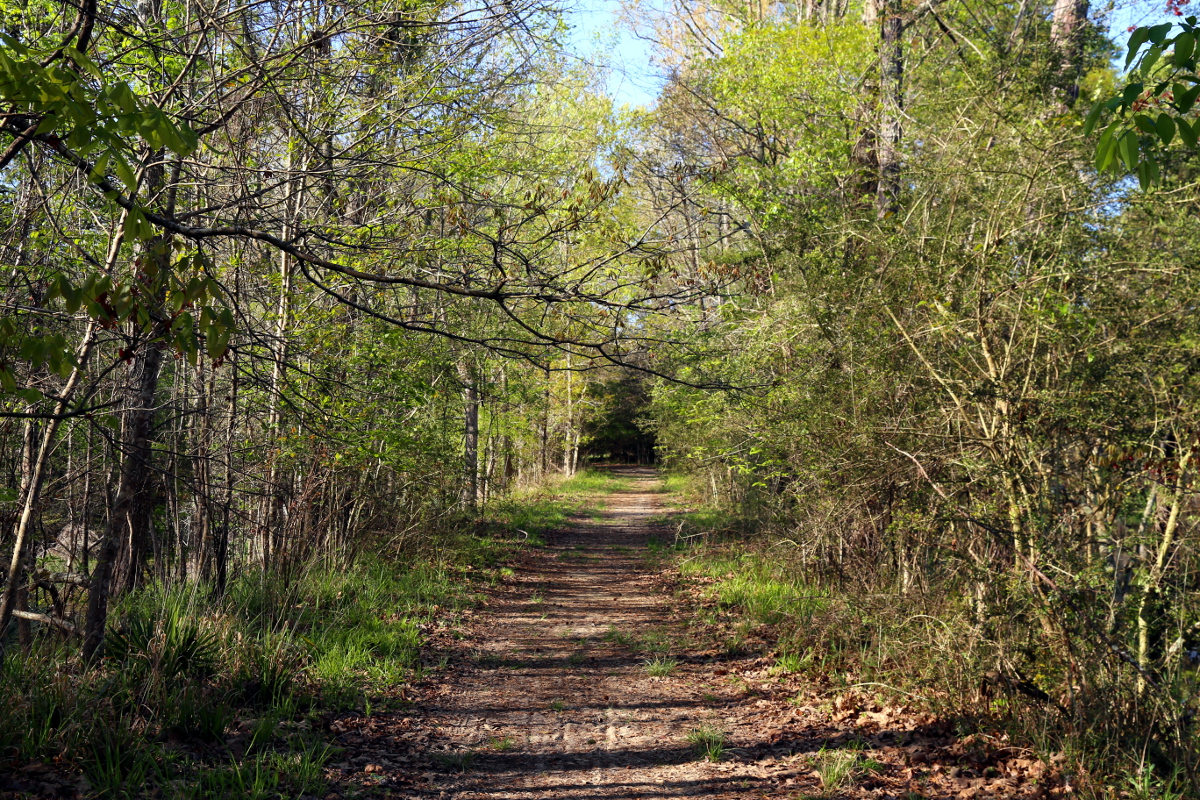 Describing Our Tradition – The Henge of the Cobbled Path